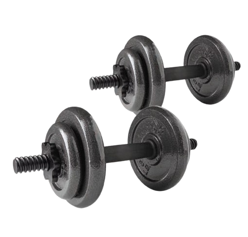 Athletic Works 40 lb cast iron dumbbell